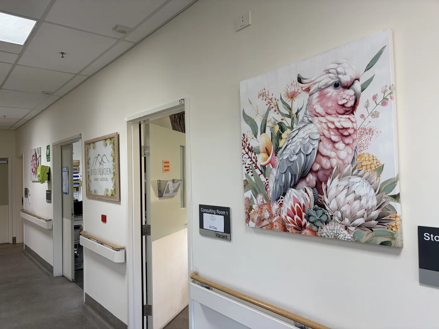 Hallway with galah artwork outside the consulting rooms